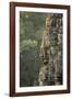 Bayon Temple, Angkor Wat, Siem Reap, Cambodia-Paul Souders-Framed Photographic Print