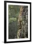 Bayon Temple, Angkor Wat, Siem Reap, Cambodia-Paul Souders-Framed Photographic Print