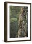 Bayon Temple, Angkor Wat, Siem Reap, Cambodia-Paul Souders-Framed Photographic Print