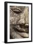 Bayon Temple, Angkor Wat, Siem Reap, Cambodia-Paul Souders-Framed Photographic Print