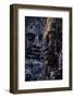 Bayon Temple, Built in 12th to 13th Century by King Jayavarman Vii, Angkor-Nathalie Cuvelier-Framed Premium Photographic Print