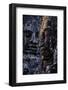 Bayon Temple, Built in 12th to 13th Century by King Jayavarman Vii, Angkor-Nathalie Cuvelier-Framed Premium Photographic Print