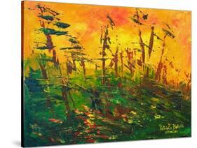 Bayou, 2011-Patricia Brintle-Stretched Canvas