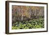 Bayou Autumn-Danny Head-Framed Photographic Print