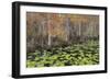 Bayou Autumn-Danny Head-Framed Photographic Print