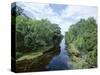 Bayou in Swampland at Jean Lafitte National Historic Park and Preserve, Louisiana, USA-Robert Francis-Stretched Canvas