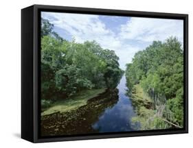 Bayou in Swampland at Jean Lafitte National Historic Park and Preserve, Louisiana, USA-Robert Francis-Framed Stretched Canvas