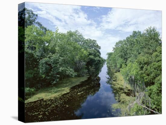 Bayou in Swampland at Jean Lafitte National Historic Park and Preserve, Louisiana, USA-Robert Francis-Stretched Canvas