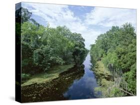 Bayou in Swampland at Jean Lafitte National Historic Park and Preserve, Louisiana, USA-Robert Francis-Stretched Canvas