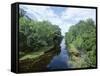 Bayou in Swampland at Jean Lafitte National Historic Park and Preserve, Louisiana, USA-Robert Francis-Framed Stretched Canvas