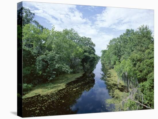 Bayou in Swampland at Jean Lafitte National Historic Park and Preserve, Louisiana, USA-Robert Francis-Stretched Canvas