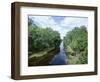 Bayou in Swampland at Jean Lafitte National Historic Park and Preserve, Louisiana, USA-Robert Francis-Framed Photographic Print