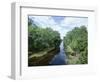 Bayou in Swampland at Jean Lafitte National Historic Park and Preserve, Louisiana, USA-Robert Francis-Framed Photographic Print