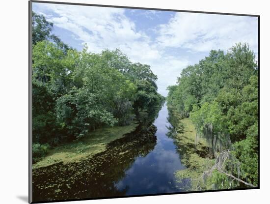 Bayou in Swampland at Jean Lafitte National Historic Park and Preserve, Louisiana, USA-Robert Francis-Mounted Photographic Print