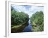 Bayou in Swampland at Jean Lafitte National Historic Park and Preserve, Louisiana, USA-Robert Francis-Framed Photographic Print