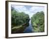 Bayou in Swampland at Jean Lafitte National Historic Park and Preserve, Louisiana, USA-Robert Francis-Framed Photographic Print