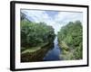 Bayou in Swampland at Jean Lafitte National Historic Park and Preserve, Louisiana, USA-Robert Francis-Framed Photographic Print