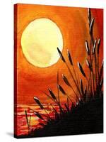 Bayou Moon-Cindy Thornton-Stretched Canvas