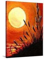 Bayou Moon-Cindy Thornton-Stretched Canvas