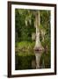 Bayou, New Orleans, Louisiana-Paul Souders-Framed Premium Photographic Print