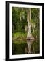 Bayou, New Orleans, Louisiana-Paul Souders-Framed Premium Photographic Print