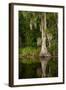 Bayou, New Orleans, Louisiana-Paul Souders-Framed Photographic Print