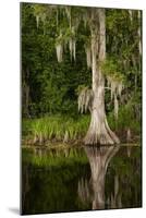 Bayou, New Orleans, Louisiana-Paul Souders-Mounted Photographic Print