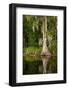 Bayou, New Orleans, Louisiana-Paul Souders-Framed Photographic Print