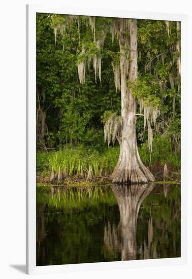 Bayou, New Orleans, Louisiana-Paul Souders-Framed Photographic Print