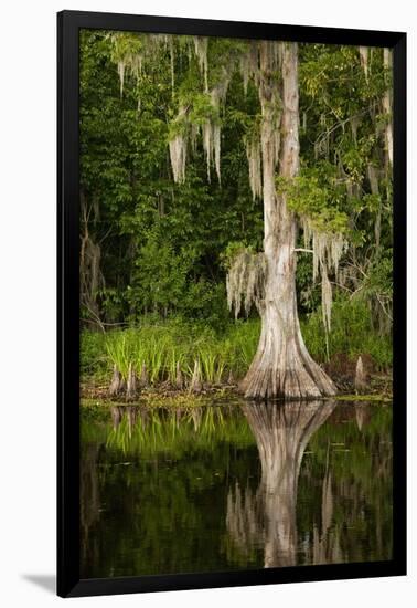 Bayou, New Orleans, Louisiana-Paul Souders-Framed Photographic Print