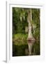 Bayou, New Orleans, Louisiana-Paul Souders-Framed Photographic Print