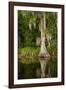 Bayou, New Orleans, Louisiana-Paul Souders-Framed Photographic Print