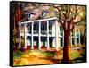 Bayou Plantation-Diane Millsap-Framed Stretched Canvas