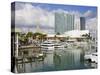 Bayside Marketplace and Marina, Miami, Florida, United States of America, North America-Richard Cummins-Stretched Canvas