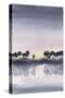 Bayside Sunset II-Grace Popp-Stretched Canvas