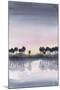 Bayside Sunset II-Grace Popp-Mounted Art Print