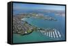 Bayswater Marina, Waitemata Harbour, Auckland, North Island, New Zealand-David Wall-Framed Stretched Canvas