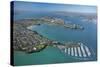 Bayswater Marina, Waitemata Harbour, Auckland, North Island, New Zealand-David Wall-Stretched Canvas