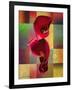 BBB 2-Mark Ashkenazi-Framed Giclee Print