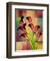 BBB 3-Mark Ashkenazi-Framed Giclee Print