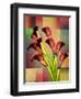 BBB 3-Mark Ashkenazi-Framed Giclee Print