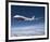 BBJ MAX 8 based on the 737 MAX 8-null-Framed Premium Giclee Print