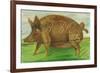 BBQ No.5-Gigi Begin-Framed Giclee Print