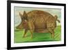 BBQ No.5-Gigi Begin-Framed Giclee Print