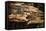 Bbq Stalls at Crab Market, Kep, Kep Province, Cambodia, Indochina, Southeast Asia, Asia-Ben Pipe-Framed Stretched Canvas