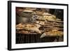 Bbq Stalls at Crab Market, Kep, Kep Province, Cambodia, Indochina, Southeast Asia, Asia-Ben Pipe-Framed Photographic Print