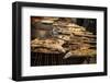 Bbq Stalls at Crab Market, Kep, Kep Province, Cambodia, Indochina, Southeast Asia, Asia-Ben Pipe-Framed Photographic Print