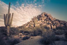 Epic Desert Sunset over Valley of the Sun, Phoenix, Scottsdale, Arizona with Saguaro Cactus in Fore-BCFC-Photographic Print