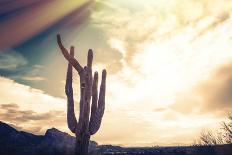 Epic Desert Sunset over Valley of the Sun, Phoenix, Scottsdale, Arizona with Saguaro Cactus in Fore-BCFC-Framed Photographic Print