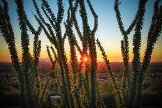 Epic Desert Sunset over Valley of the Sun, Phoenix, Scottsdale, Arizona with Saguaro Cactus in Fore-BCFC-Photographic Print